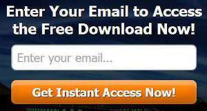 Allow File Download After Email Address Submission - 3