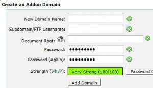 Addon Domain Details